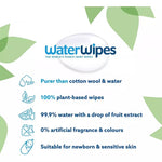 Water Wipes (Case Size 12 x60 Wipes)